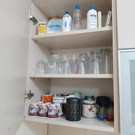 Diogenis Garden 45m2 For 3 Persons * Λευκάδα